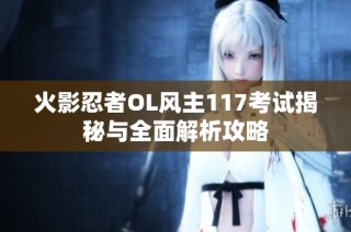 火影忍者OL风主117考试揭秘与全面解析攻略