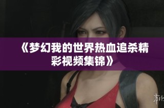 《梦幻我的世界热血追杀精彩视频集锦》