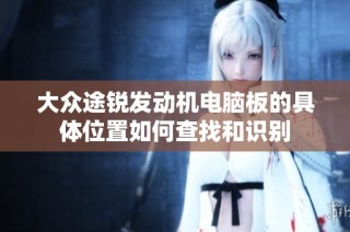 大众途锐发动机电脑板的具体位置如何查找和识别