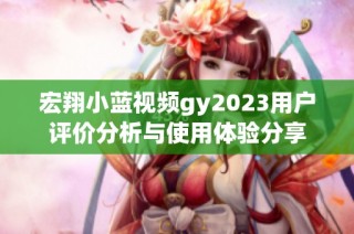 宏翔小蓝视频gy2023用户评价分析与使用体验分享