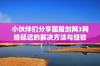 小伙伴们分享国服剑网3网络延迟的解决方法与经验