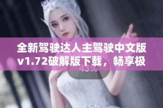 全新驾驶达人主驾驶中文版v1.72破解版下载，畅享极致驾驶体验