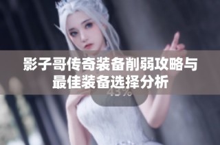 影子哥传奇装备削弱攻略与最佳装备选择分析