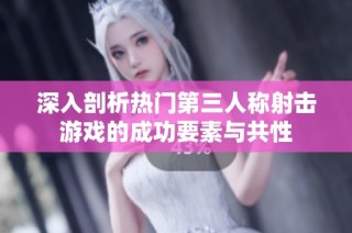 深入剖析热门第三人称射击游戏的成功要素与共性