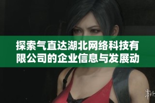 探索气直达湖北网络科技有限公司的企业信息与发展动态