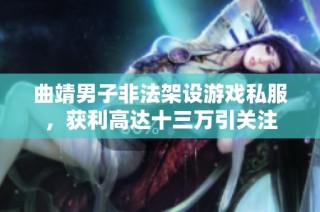 曲靖男子非法架设游戏私服，获利高达十三万引关注