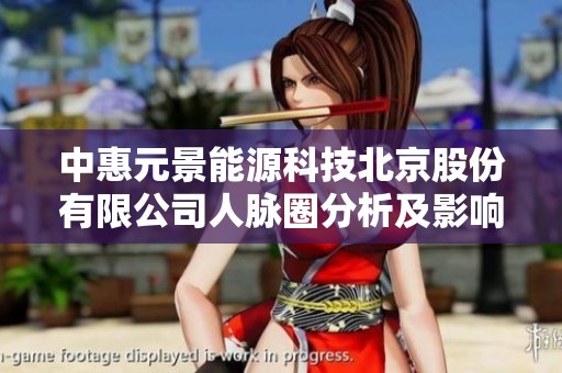 中惠元景能源科技北京股份有限公司人脉圈分析及影响评估