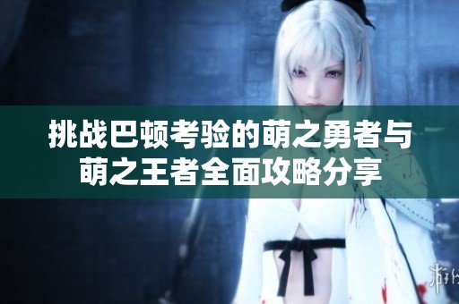 挑战巴顿考验的萌之勇者与萌之王者全面攻略分享
