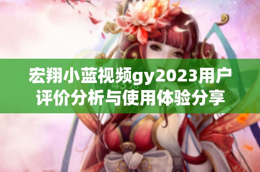 宏翔小蓝视频gy2023用户评价分析与使用体验分享