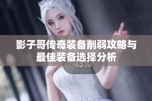 影子哥传奇装备削弱攻略与最佳装备选择分析