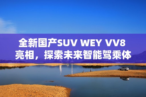 全新国产SUV WEY VV8 亮相，探索未来智能驾乘体验