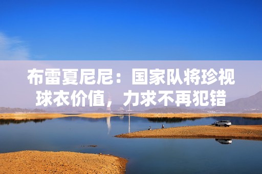 布雷夏尼尼：国家队将珍视球衣价值，力求不再犯错